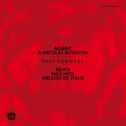 Flash Point-Nelson De Jesus Remix