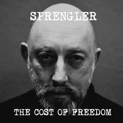 The Cost of Freedom-Extended