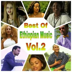Best Of Ethiopian Music, Vol. 2