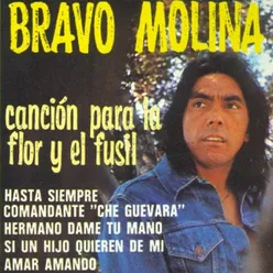 Canción para la Flor y el Fusil