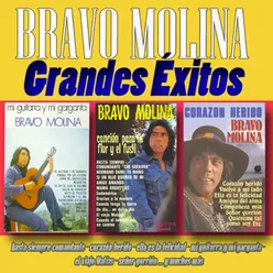 Bravo Molina: Grandes Éxitos