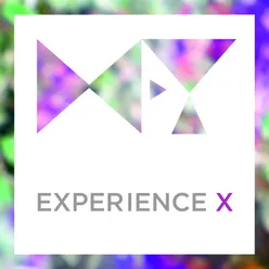 Experience X