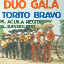 Arriba Mi Gallo