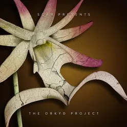 The Orkyd Project