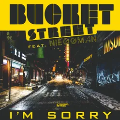 I'm Sorry-Radio Edit