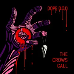 The Crows Call