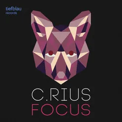 Focus-Steve Hope Remix