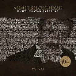Ahmet Selçuk İlkan Unutulmayan Şarkılar, Vol. 2-40 Yıl, 40 Ses, 40 Nefes