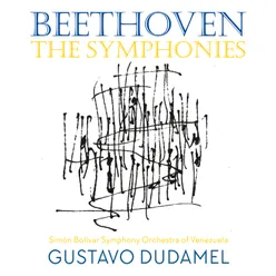 Symphony No. 1 in C Major, Op. 21: II. Andante cantabile con moto