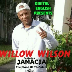 Digital English Presents Willow Wilson