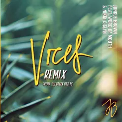 Vices-D'Lux Beats Remix