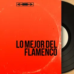 Colombiana Flamenca