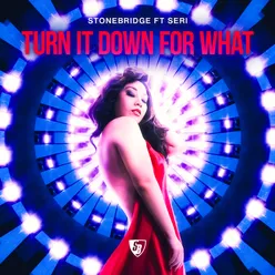 Turn It Down for What-StoneBridge & Damien Hall Ibiza Radio
