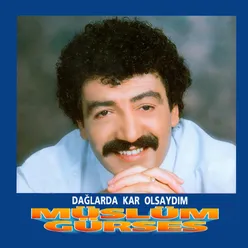 Seven Olmaz Ki