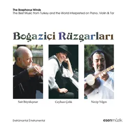 Boğaziçi Rüzgarları / The Bosphorus Winds-The Best Music From Turkey And The World İnterpreted On Piano, Violin And Tar