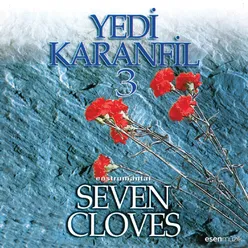 Yedi Karanfil, Vol. 3-Seven Cloves Enstrumantal