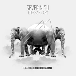 Elephant Cry-Baile Remix