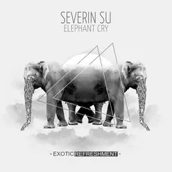 Elephant Cry-Nils Penner Remix