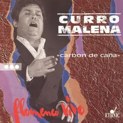 Carbon de Caña-Flamenco Vivo