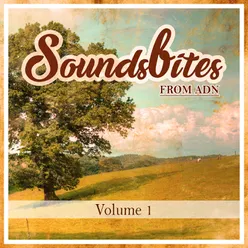 Soundsbites from ADN, Vol. 1