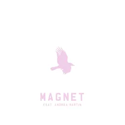 Magnet