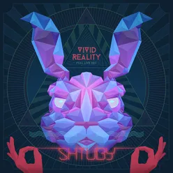 Vivid Reality-Solo