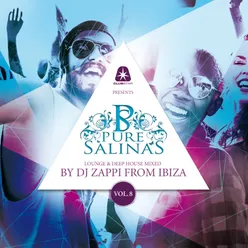 Pure Salinas, Vol. 8 (Compiled by DJ Zappi)-Lounge & Deep House Mixed