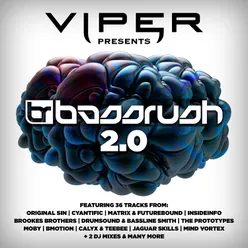 Bassrush 2.0-Continuous DJ Mix 1