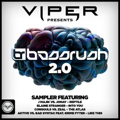 Bassrush 2.0 Sampler Viper Presents