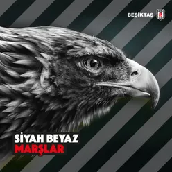 Tek Aşkımız Beşiktaş