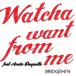 Whatcha Want from Me-Version française