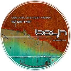 Sharks (Analog Soundsystem Remix)-Luca B Edit