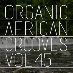 Organic African Grooves, Vol.45