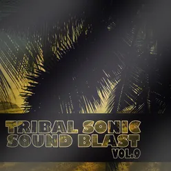 Tribal Sonic Soundblast,Vol.9