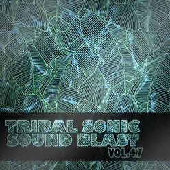 Tribal Sonic Soundblast,Vol.47