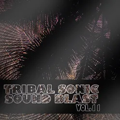 Tribal Sonic Soundblast,Vol.11