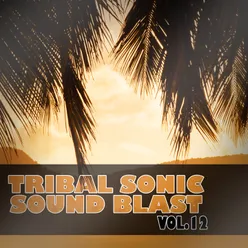 Tribal Sonic Soundblast,Vol.12