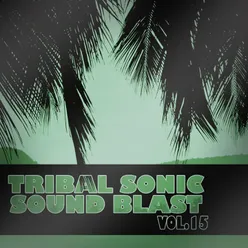 Tribal Sonic Soundblast,Vol.15