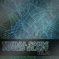 Tribal Sonic Soundblast,Vol.14