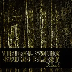 Tribal Sonic Soundblast,Vol.37