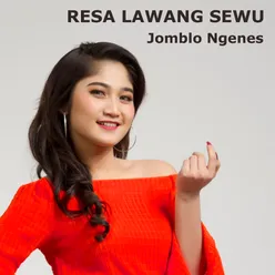 Jomblo Ngenes