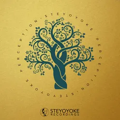 Steyoyoke Perception, Vol. 2