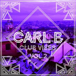 Club Vibes Vol. 2