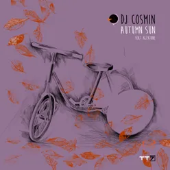 Autumn Sun-Alex Martin Remix