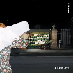 Le piante