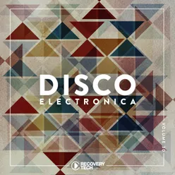 Disco Electronica, Vol. 30