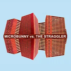 Shimmer-Microbunny Remix