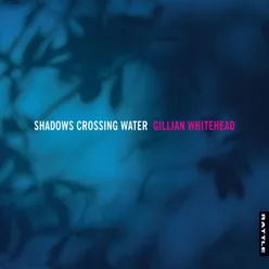 Shadows cross the water