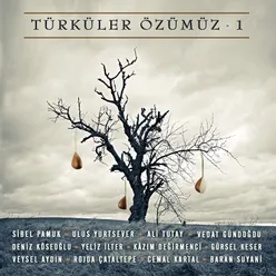 Türküler Özümüz, Vol. 1