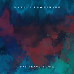 How Can You-Dan Bravo Remix